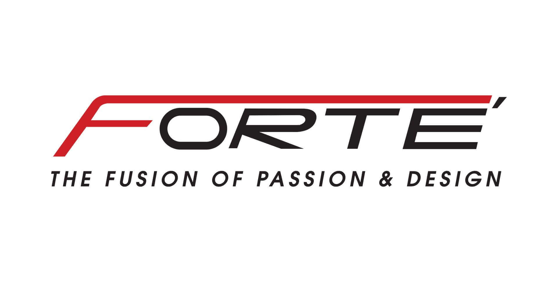 2003 – The Launch of FORTE